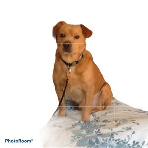 Meet your Posher, Jackeline